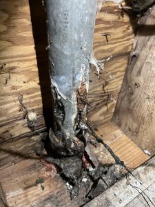Corroded cast iron stack found inside a wall